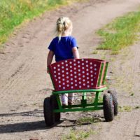 Handwagen Bollerwagen