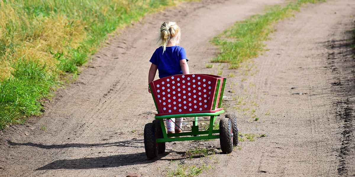 Handwagen Bollerwagen